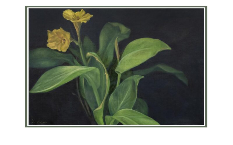 515505797_10162907705988288_4752817298093644630_n