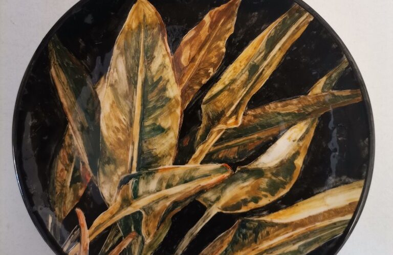 IMG_20240122_1856331